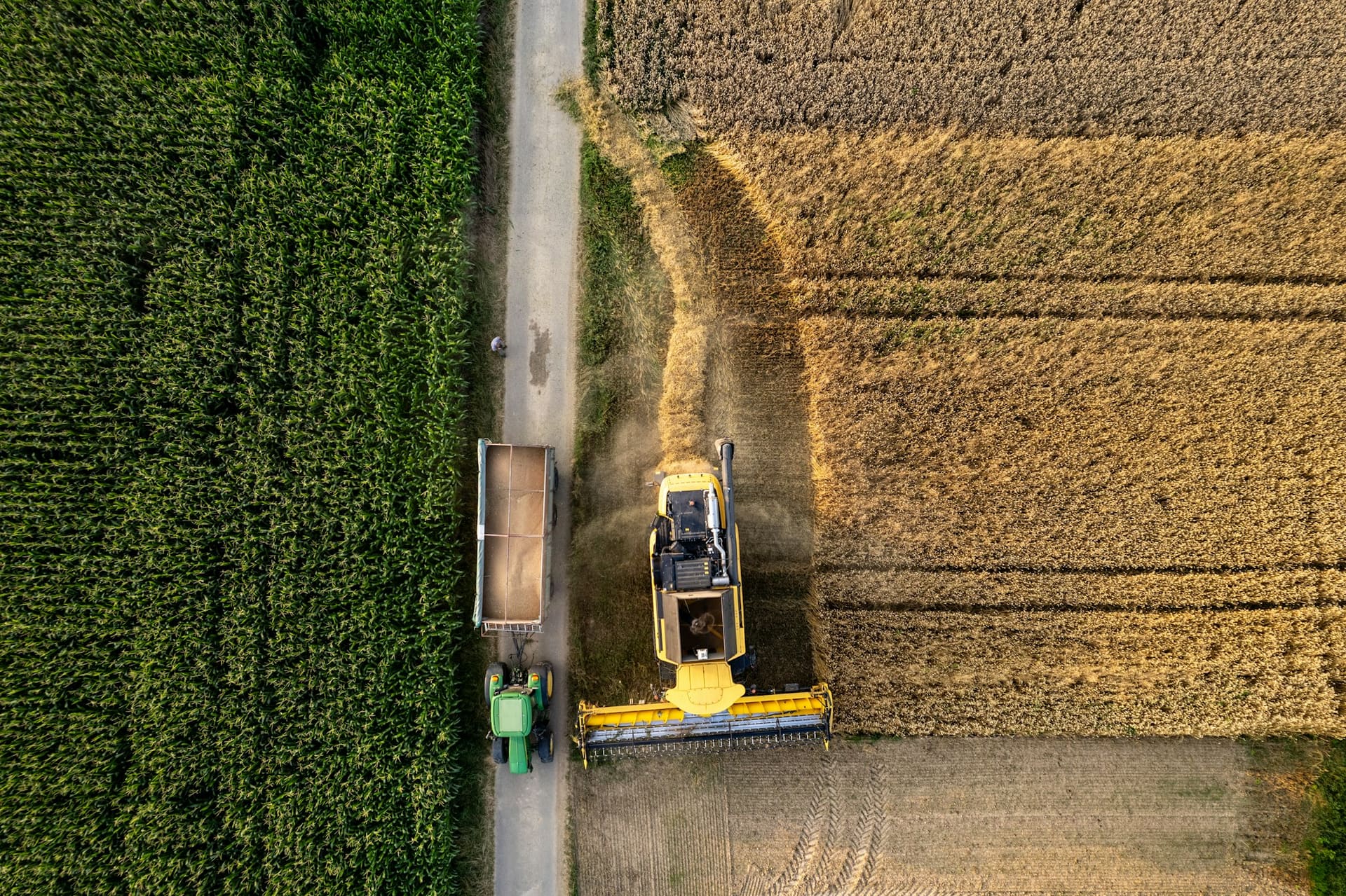 Understanding the requirement before confirming the rental — agricultural rental context imagery