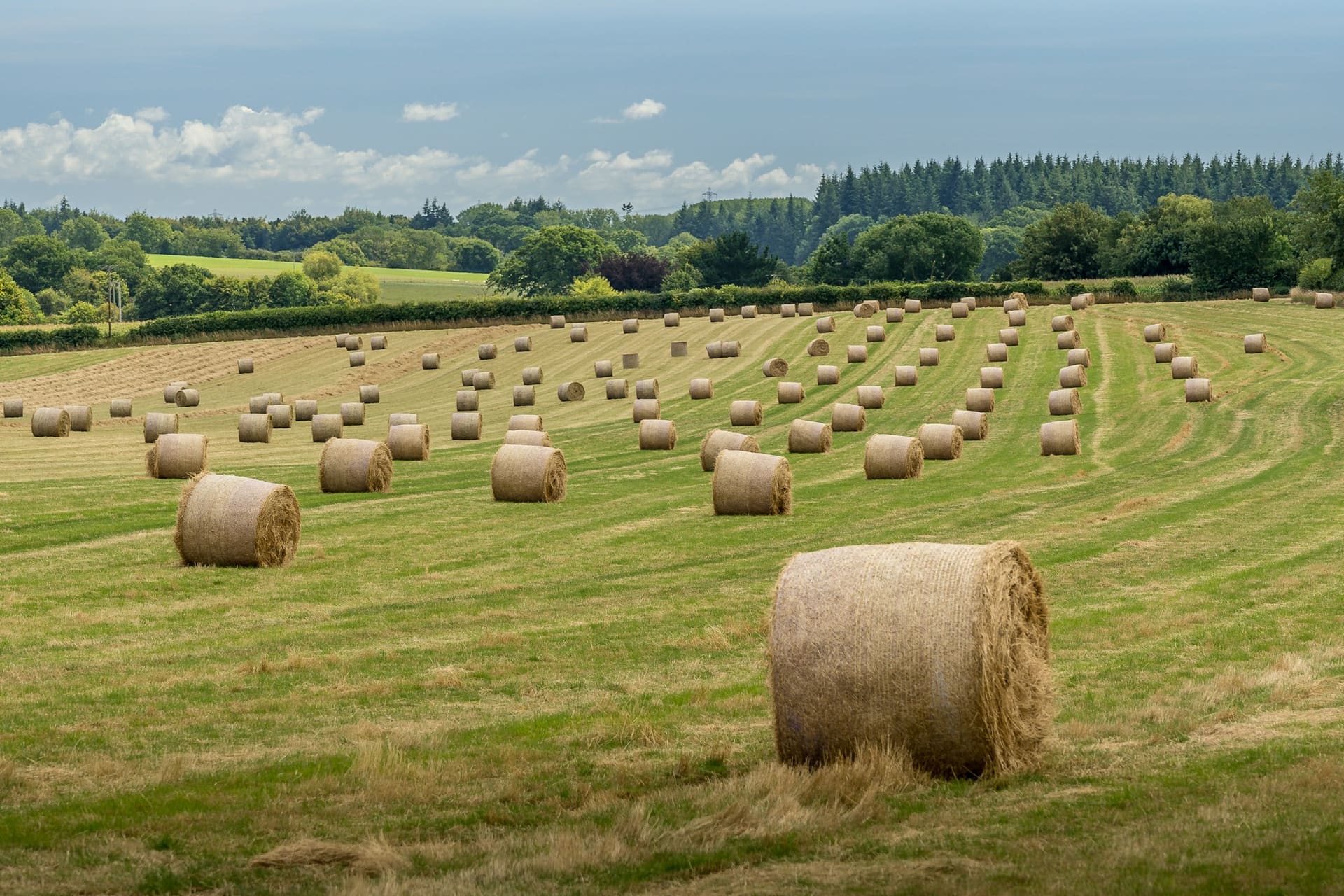Seasonal Hire — agricultural rental category
