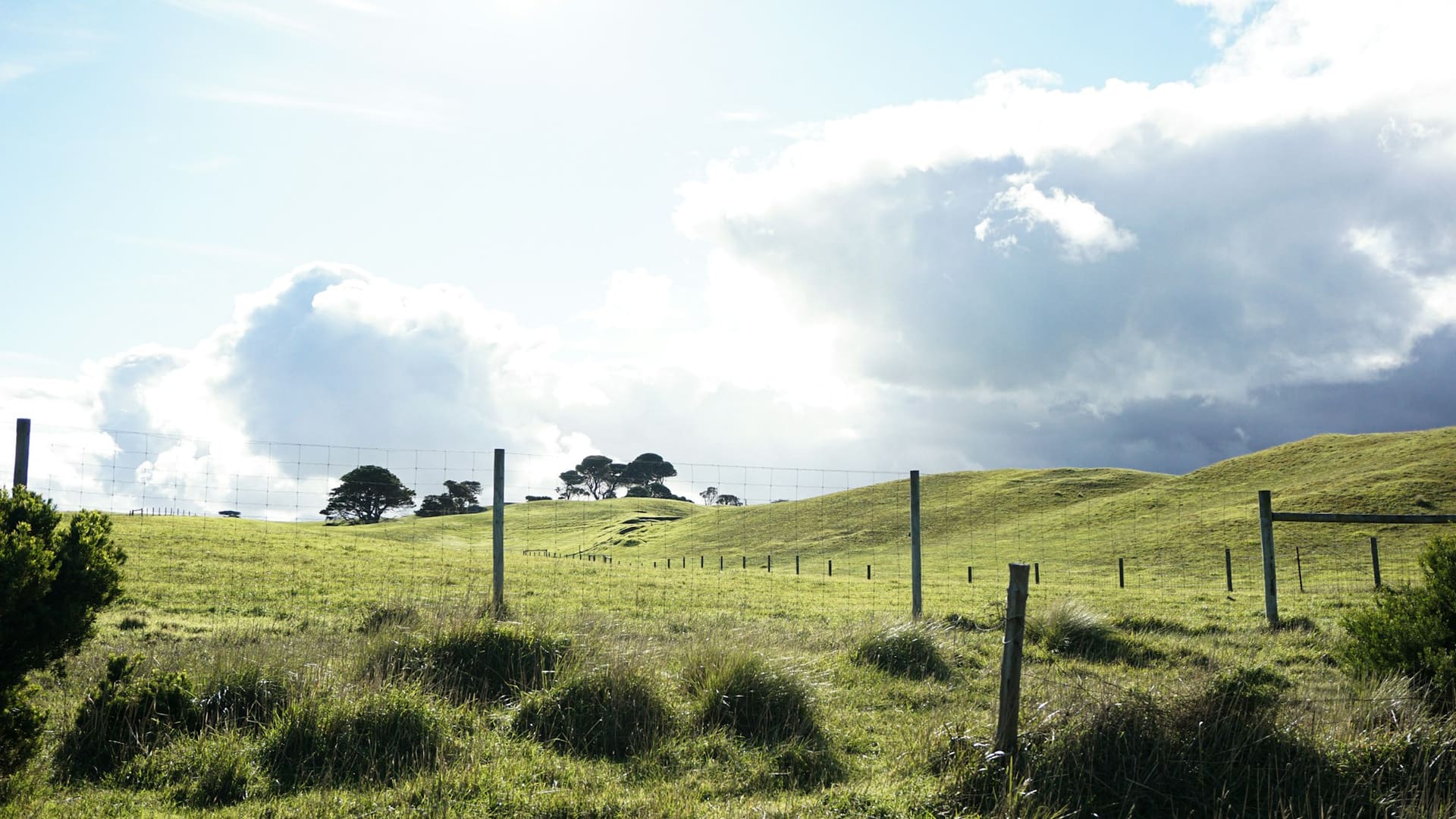 Equipment suited to the property and the task — agricultural rental context imagery