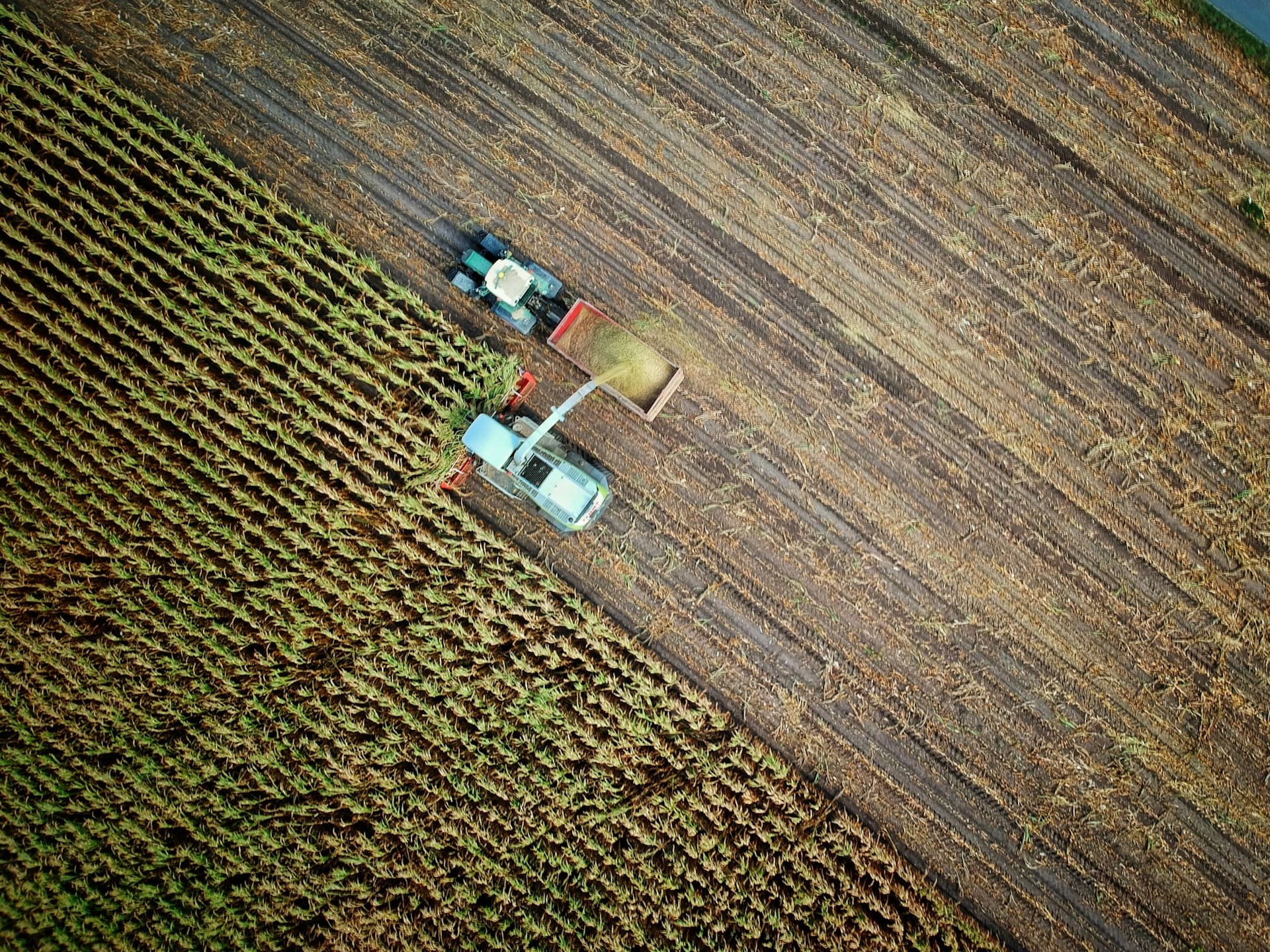 A clear, seven-stage rental process — agricultural rental context imagery