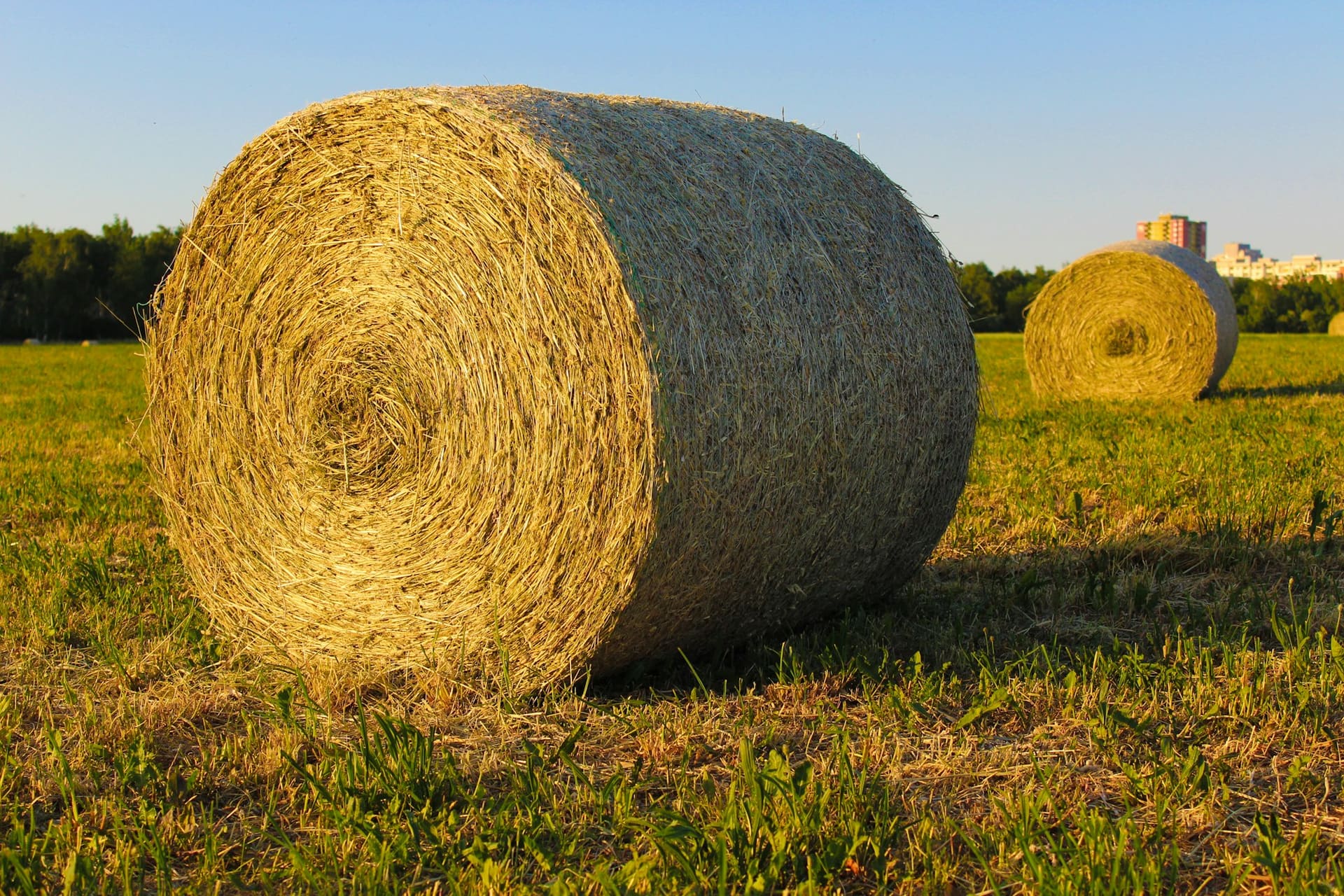Plan ahead for the busy windows — agricultural rental context imagery